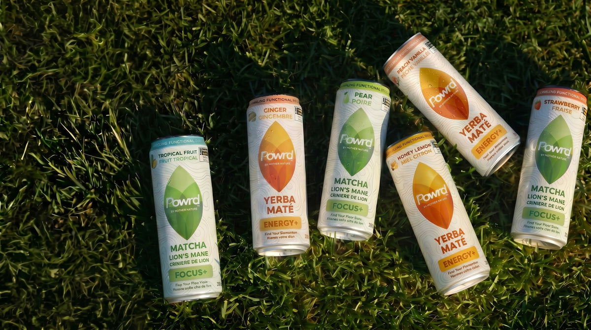 Matcha, Yerba Maté, or Both? Find Your Perfect Daily Routine
