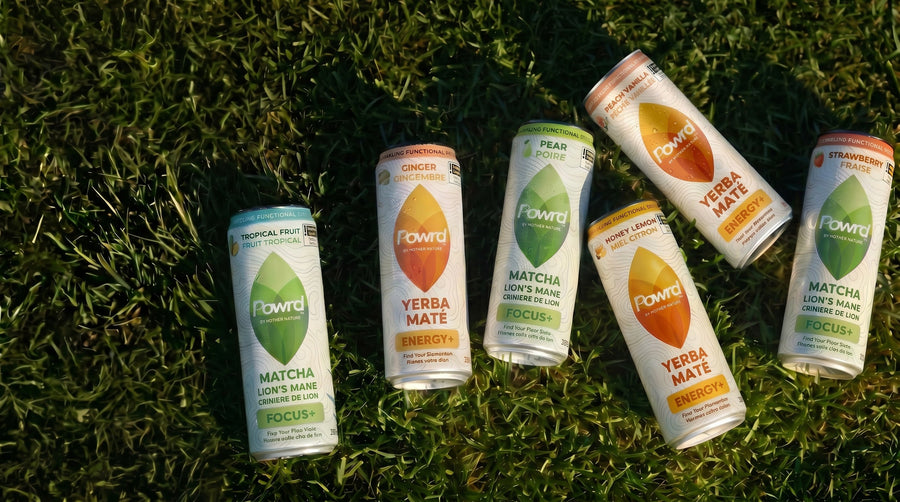 Matcha, Yerba Maté, or Both? Find Your Perfect Daily Routine