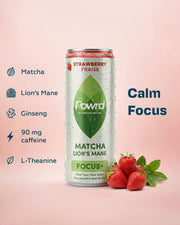 POWRD FOCUS+ (Strawberry) – Matcha & Lion’s Mane Sparkling Functional Drink