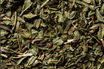 Yerba Maté